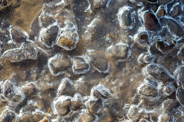 Ice crystals on a stony wet ground on a clear morning