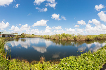 Landscape view of Everglades National Park during the day (Florida).