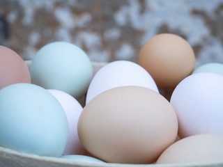 A group of ecological eggs of various colors, white eggs, blue eggs and brown eggs