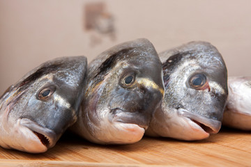Three fresh Dorada fish on wooden Background
