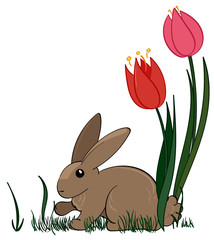 Rabbit with Spring Flowers
