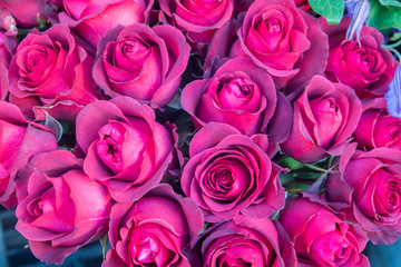 pink roses in bouquet as a beautiful background