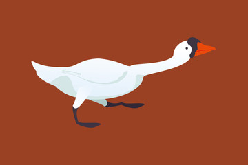 illustration of a white swan running, with brown background