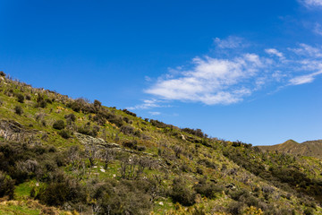 Fototapeta na wymiar green hills, sunny day, blue sky with white clouds