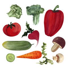 watercolor painted vegetables