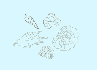 Unusual hand-drawn contour of seashells on a soft blue background. Marine theme