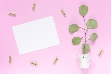 Top view on A sprig with leaves in a white bucket with a white greeting card on a plain pink background with an area for text.