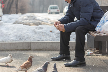 man sits outside and feeds pigeons from hands