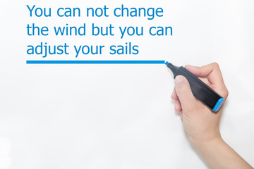 Motivational quote You can not change the wind but you can adjust your sails