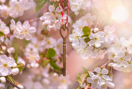 Hello Spring. Beautiful image of a flowering tree, the blur effect. On the branch retro key. Toned image, selective focus.