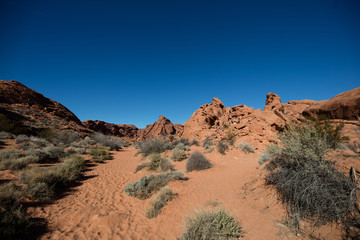 RED ROCK CANYON