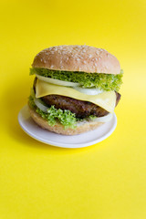 Delicious homemade grilled hamburger with beef, cheese and salad on yellow background. It's Spring