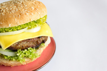 Delicious homemade burger with beef, cheese and salad. Copy space