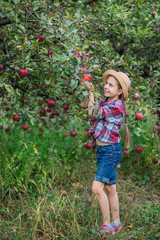 Portrait of a cute girl in a farm garden with a red apple.