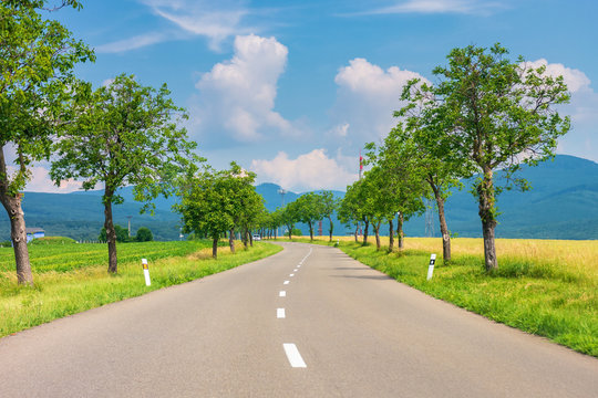 countryside road in to the mountains. trees and rural fields on both sides along the winding way. car ahead in the distance. wonderful sunny weather with fluffy clouds on a blue summer sky