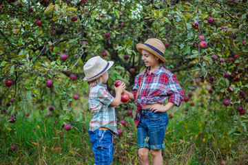 Portrait of a brother and sister in the garden with red apples.