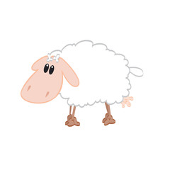 SHEEP