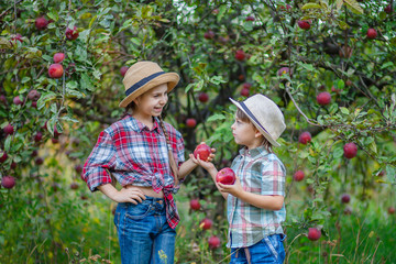 Portrait of a brother and sister in the garden with red apples.