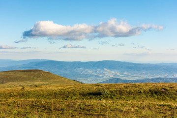 mountain scenery in summer afternoon. fluffy cloud on a blue sky above the grassy alpine meadow on a hill. beautiful carpathian landscape in evening light