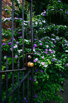 door to a garden in the historic New Orleans French Quarter