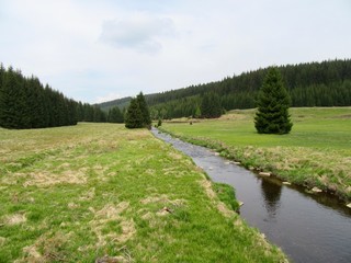 Fototapeta na wymiar Schwarzwassertal Wanderung