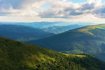 beautiful mountain landscape in summer afternoon. green alpine meadows and forested hills. ridge in the distance. beautiful nature background with fluffy clouds in evening light