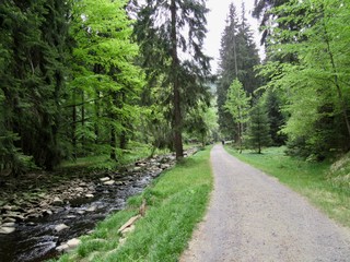 Schwarzwassertal Wanderung