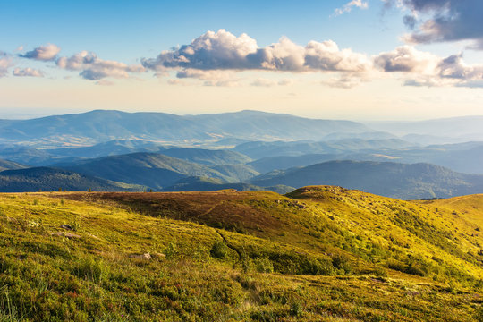 gorgeous summer mountain landscape at sunset. fluffy clouds on a blue sky above the hills in golden light. grassy alpine meadow on the slopes. ridge and valley in the distance