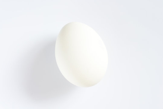 White egg on white background with shadow
