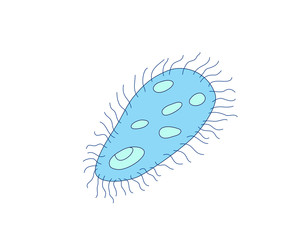 Simple drawing of an amoeba, a single cell organism, vector illustration.