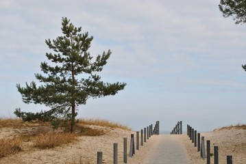 Fototapeta premium Wejście na plażę nad Bałtykiem