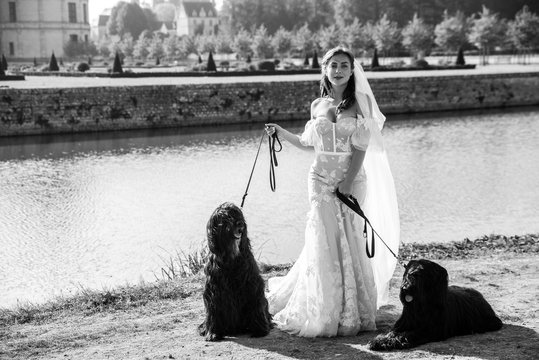 Beautiful young bride poses on nature in a luxurious wedding dress with two black dogs. Black and white photo