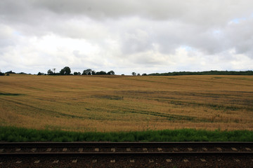 Krajobraz pola i łąk z torami © PorteNorte