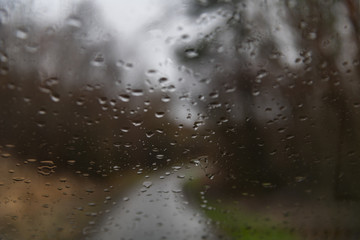 Raindrops on the glass