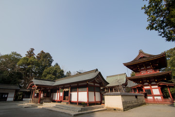 Fototapeta premium 神社