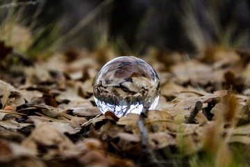 Fall Magic