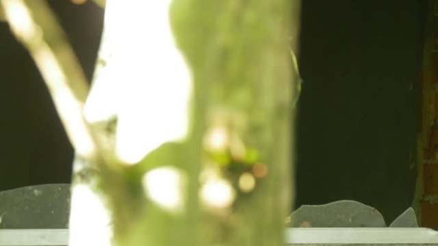 Soldier aims a target with his rifle out of a broken window &ndash; slow motion