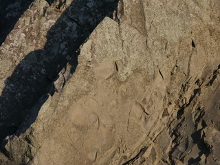 texture of stone
