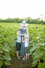 Happy pregnant mother hugging two little sons on a field of blooming sunflowers. Vertical frame