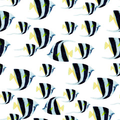 Hand drawn seamless pattern in watercolor sea world natural element. Fish on white background