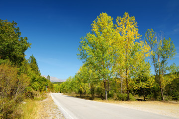 Naklejka premium Scenic autumn view fall forest on sunny autumn day in Zagori region, Northern Greece.