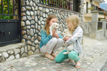 Two cute young sisters holding small white puppies outdoors. Kids playing with baby dogs on summer day.