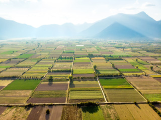 Abstract geometric shapes of agricultural parcels of different crops in green and yellow colors. Aerial top down view of farmlands in Peloponnese, Greece.