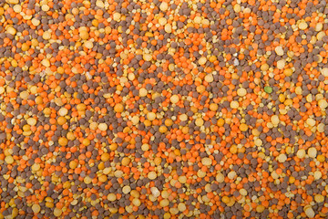 Top view flat lay dry bean soup mix autumn blend.