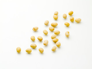 豆 大豆 福豆 節分