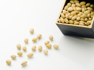 豆 大豆 福豆 節分