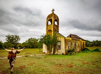 Longhorn and Church