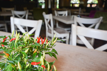 seat, day, background, room, chair, style, nobody, fashion, white, furniture, interior, design, still, light, sky, contemporary, heaven, creative, armchair, empty, office, trend, beauty, cloud, beauti
