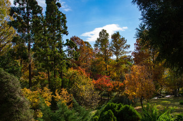Naklejka premium 色づく秋の風景