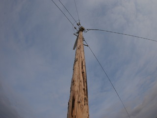 old wooden pole